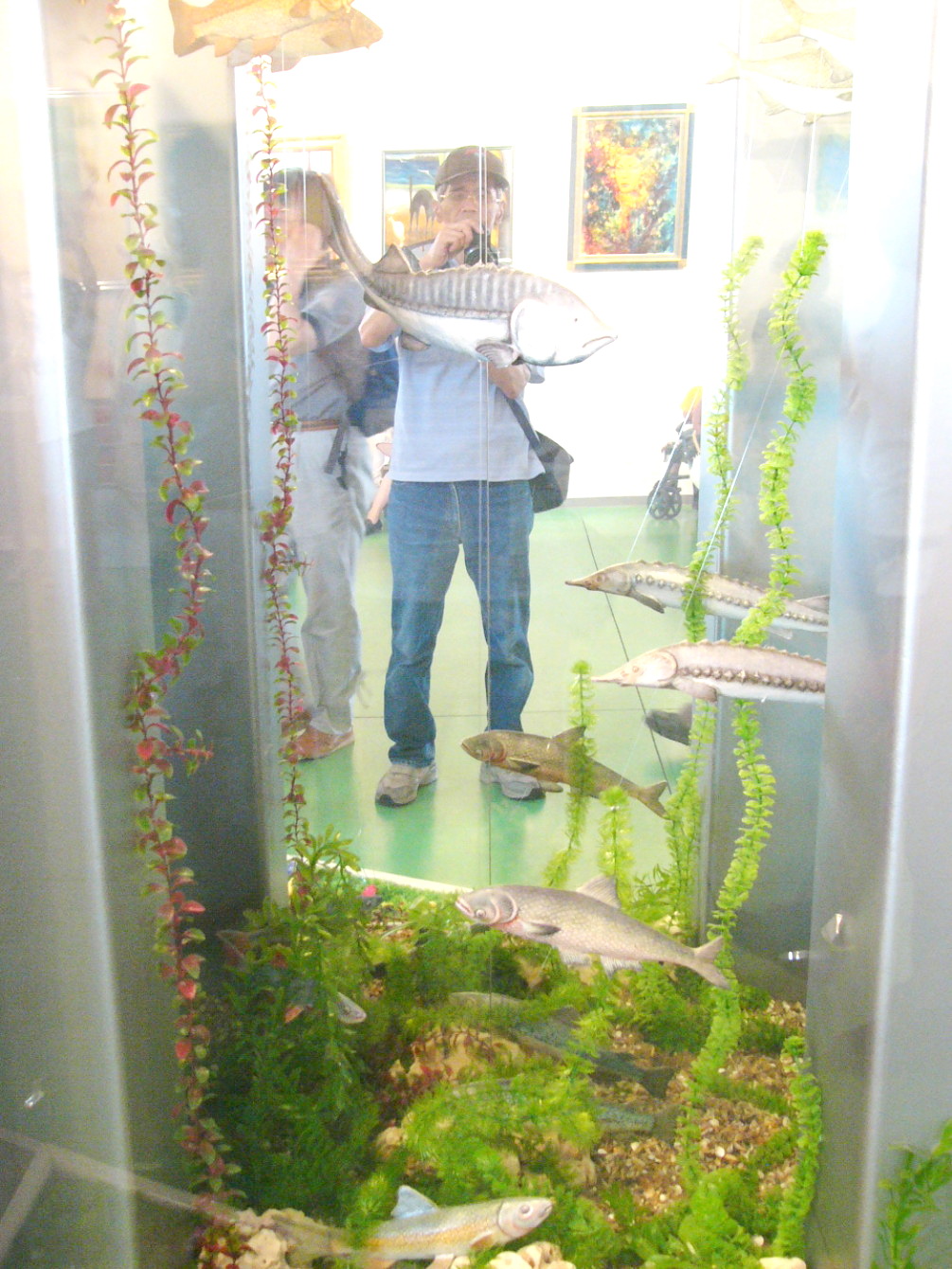 img0031.jpg