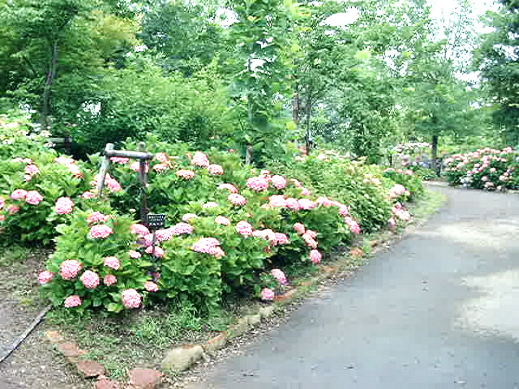 img0030.jpg