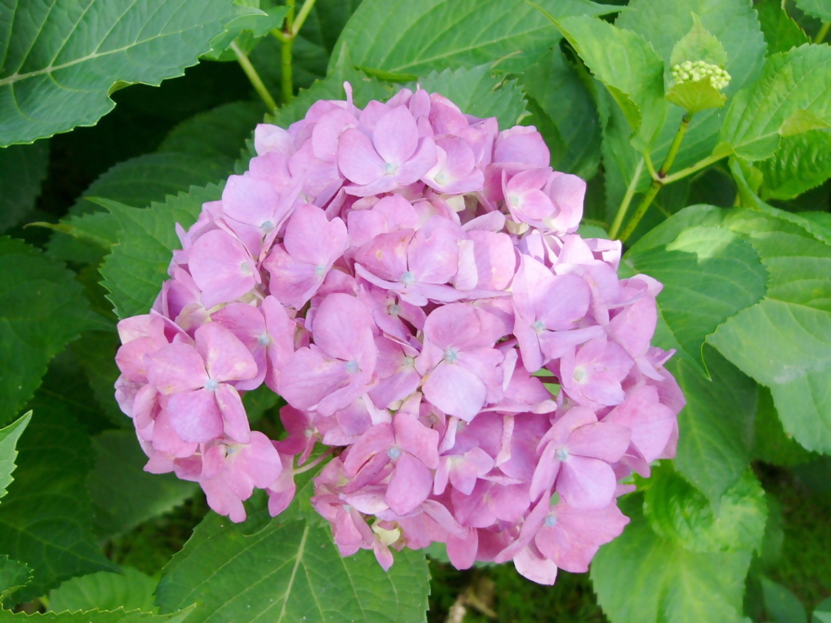 img0026.jpg
