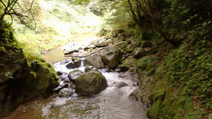 img0012.jpg