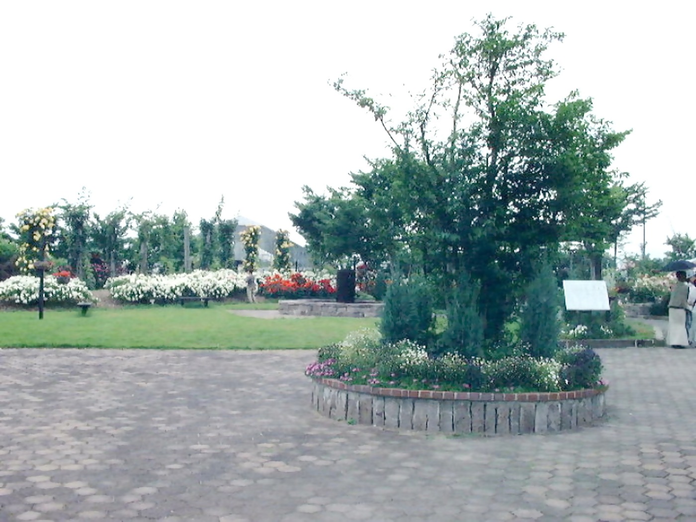 img0004.jpg