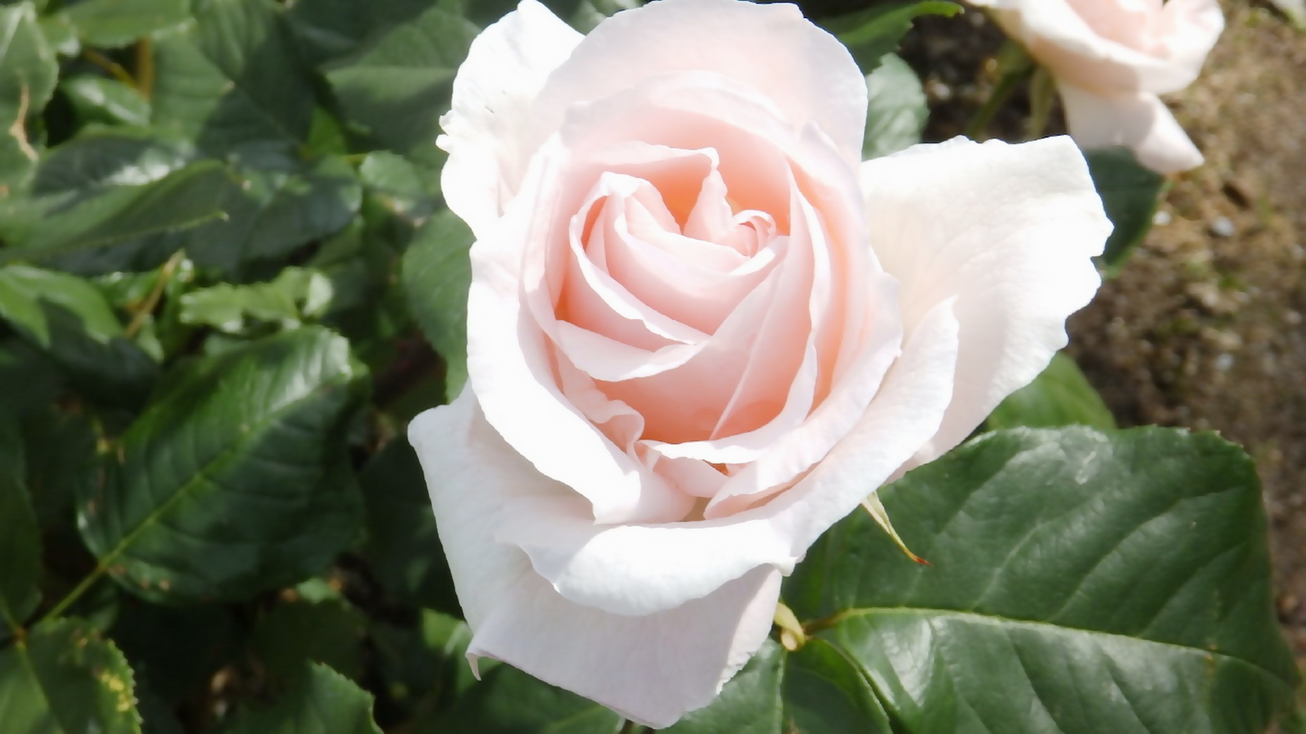 img0012.jpg