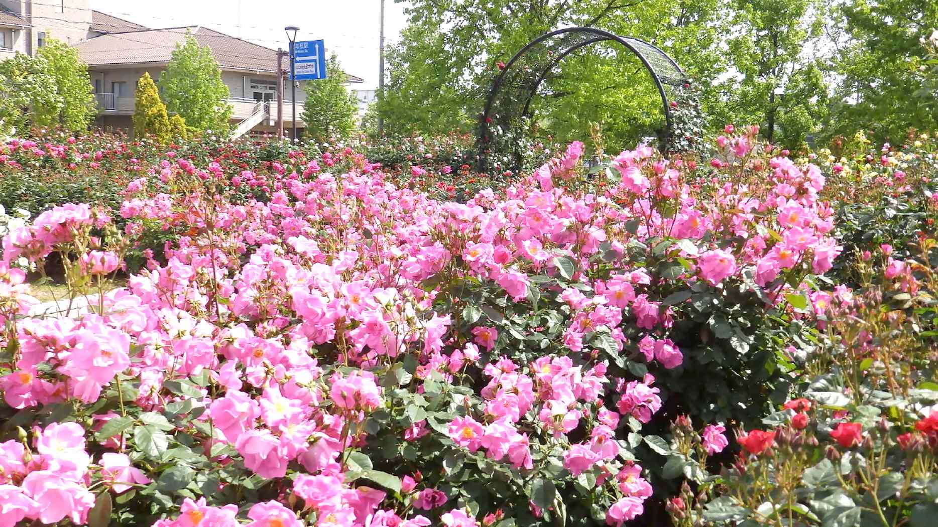 img0029.jpg