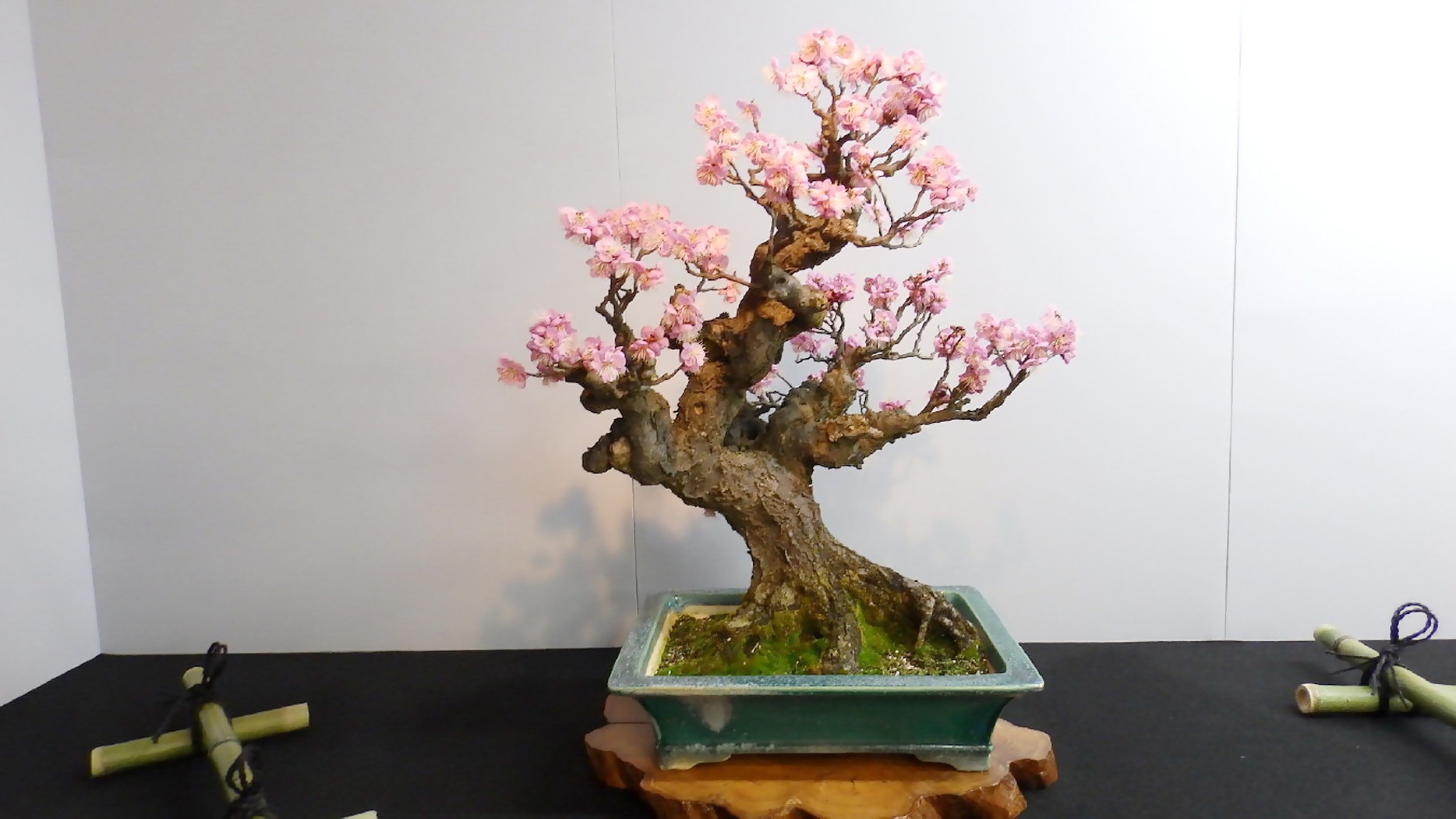 img0045.jpg