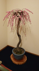 img0041.jpg