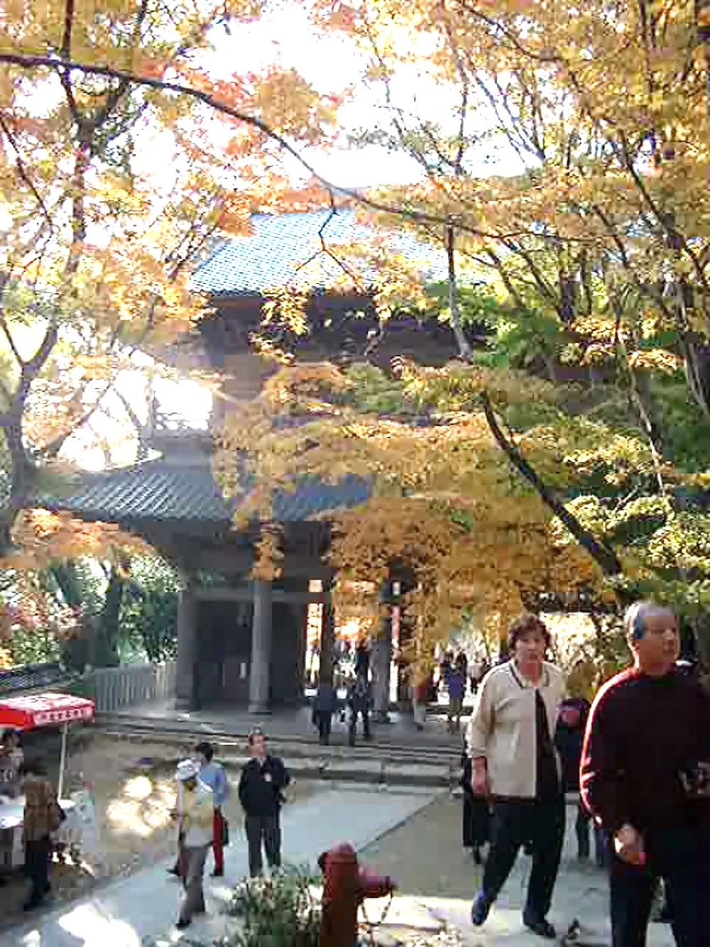 img0021.jpg