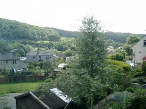 img0055.jpg
