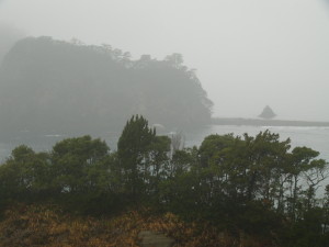 img0010.jpg