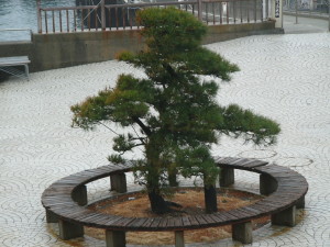 img0026.jpg