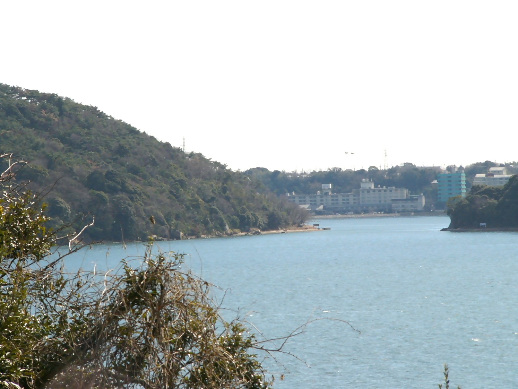 img0007.jpg