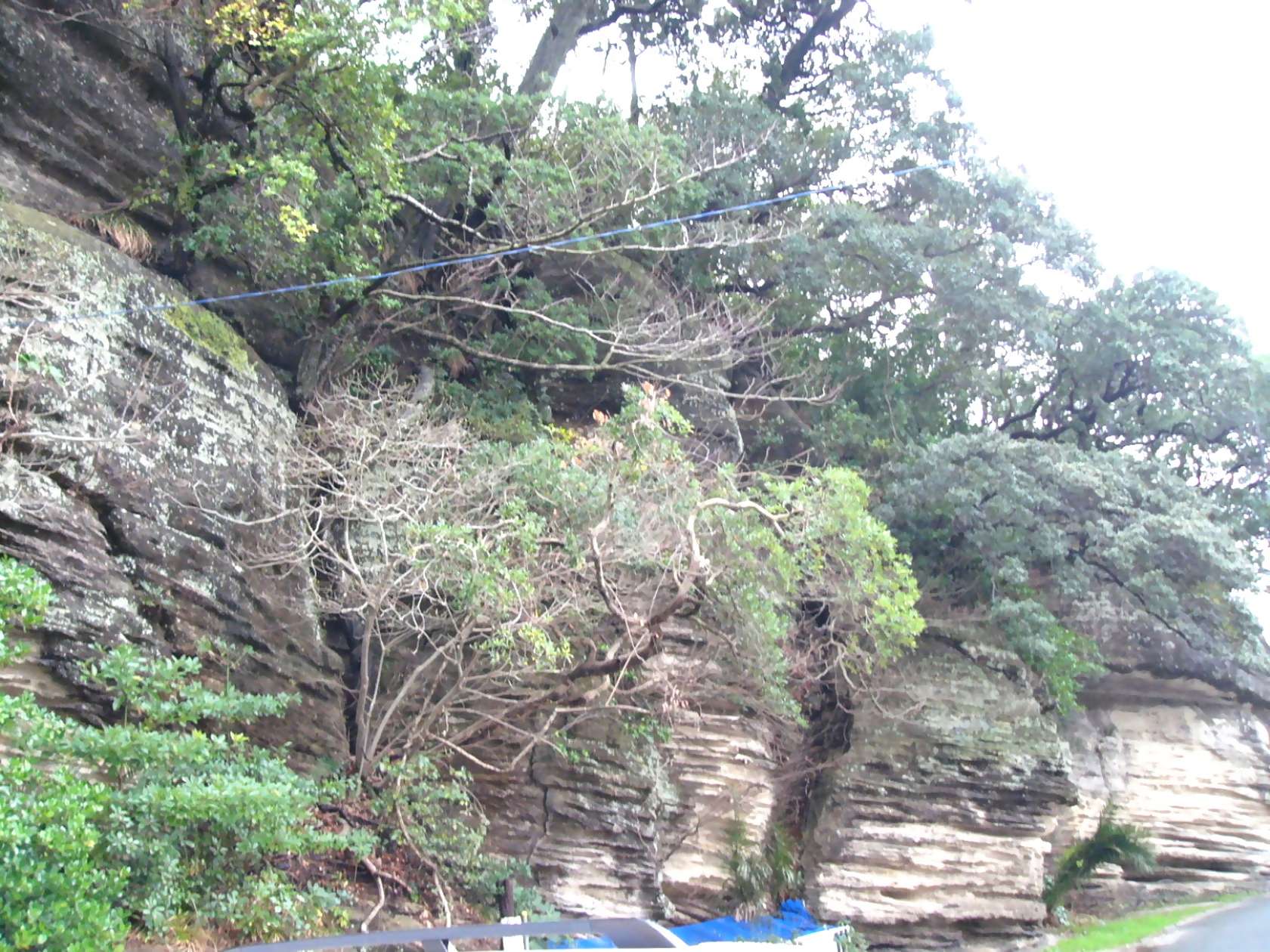 img0021.jpg