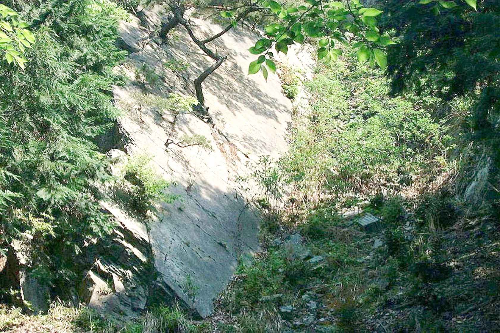 img0005.jpg