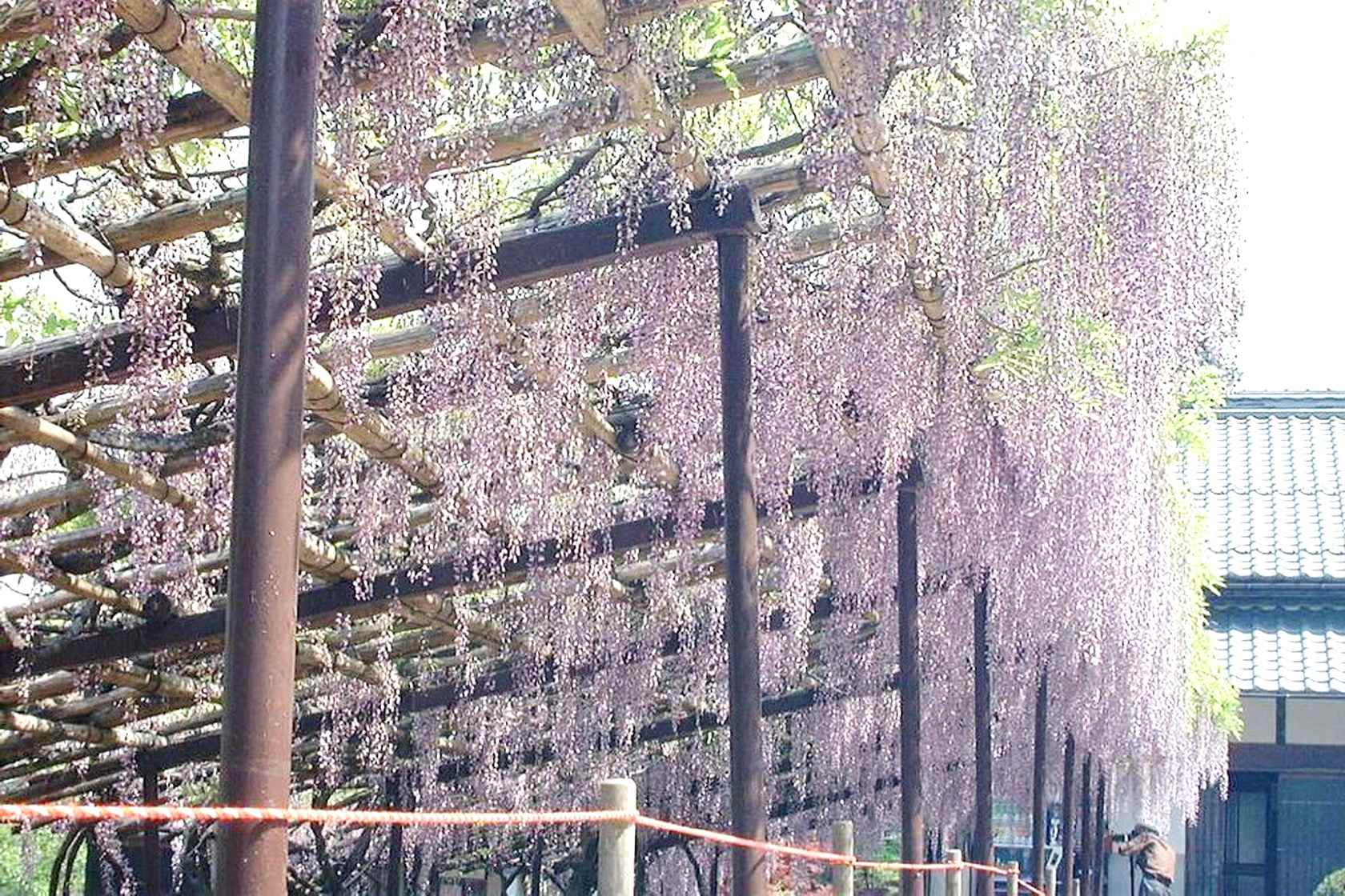 img0014.jpg
