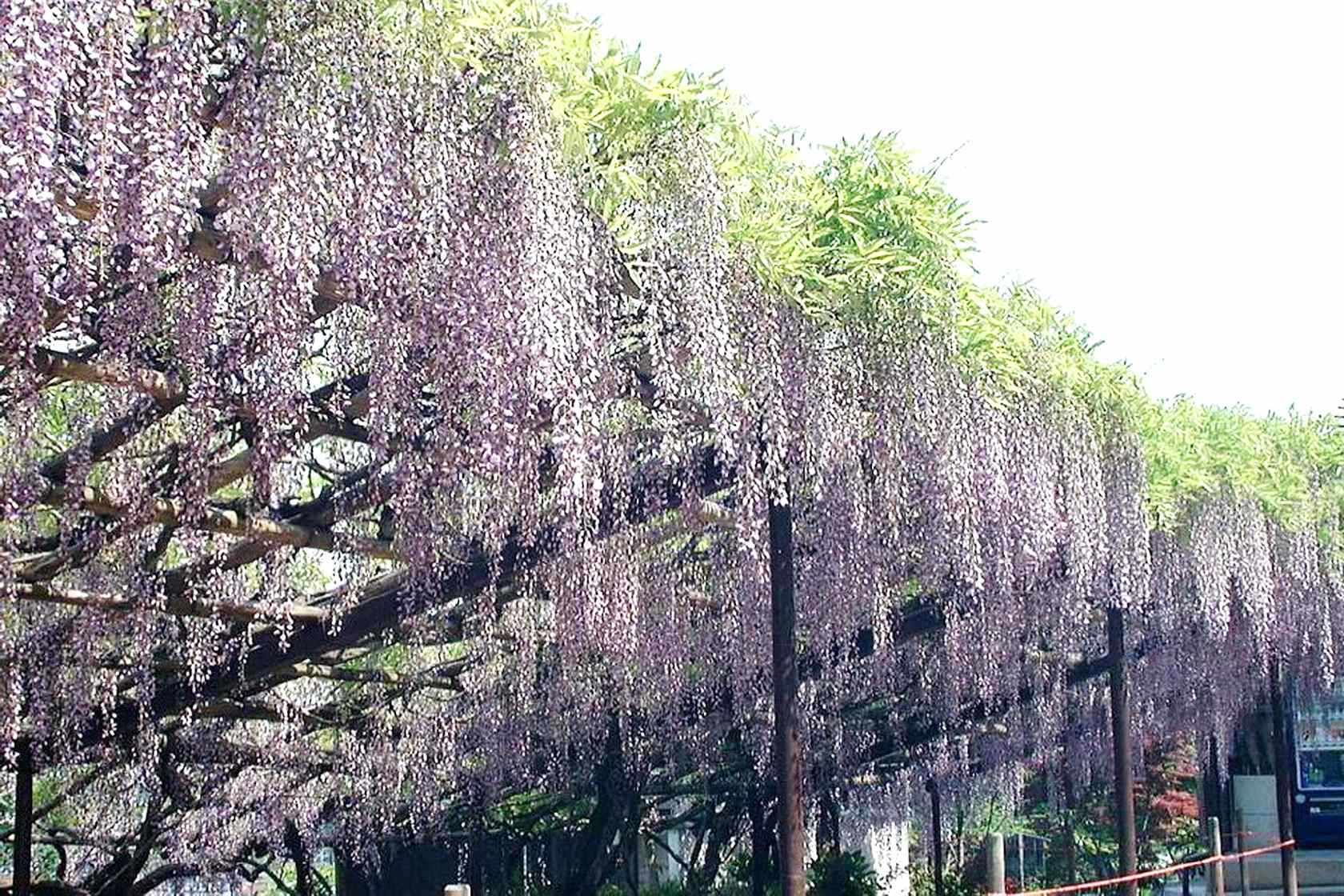 img0016.jpg