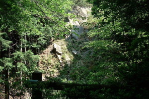 img0007.jpg