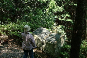 img0008.jpg