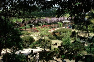 img0025.jpg