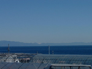 img0059.jpg