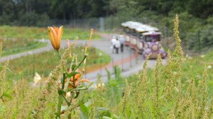 img0016.jpg