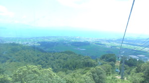 img0037.jpg