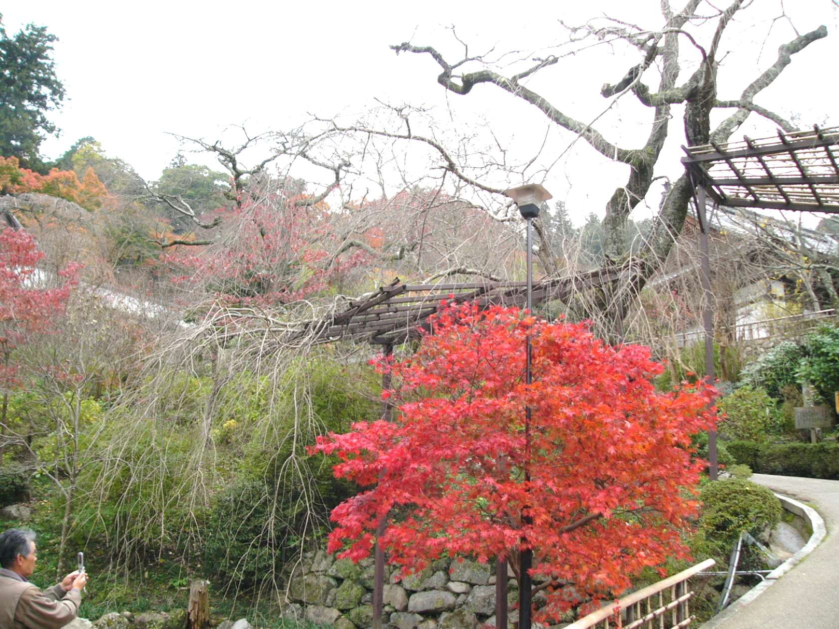 img0006.jpg