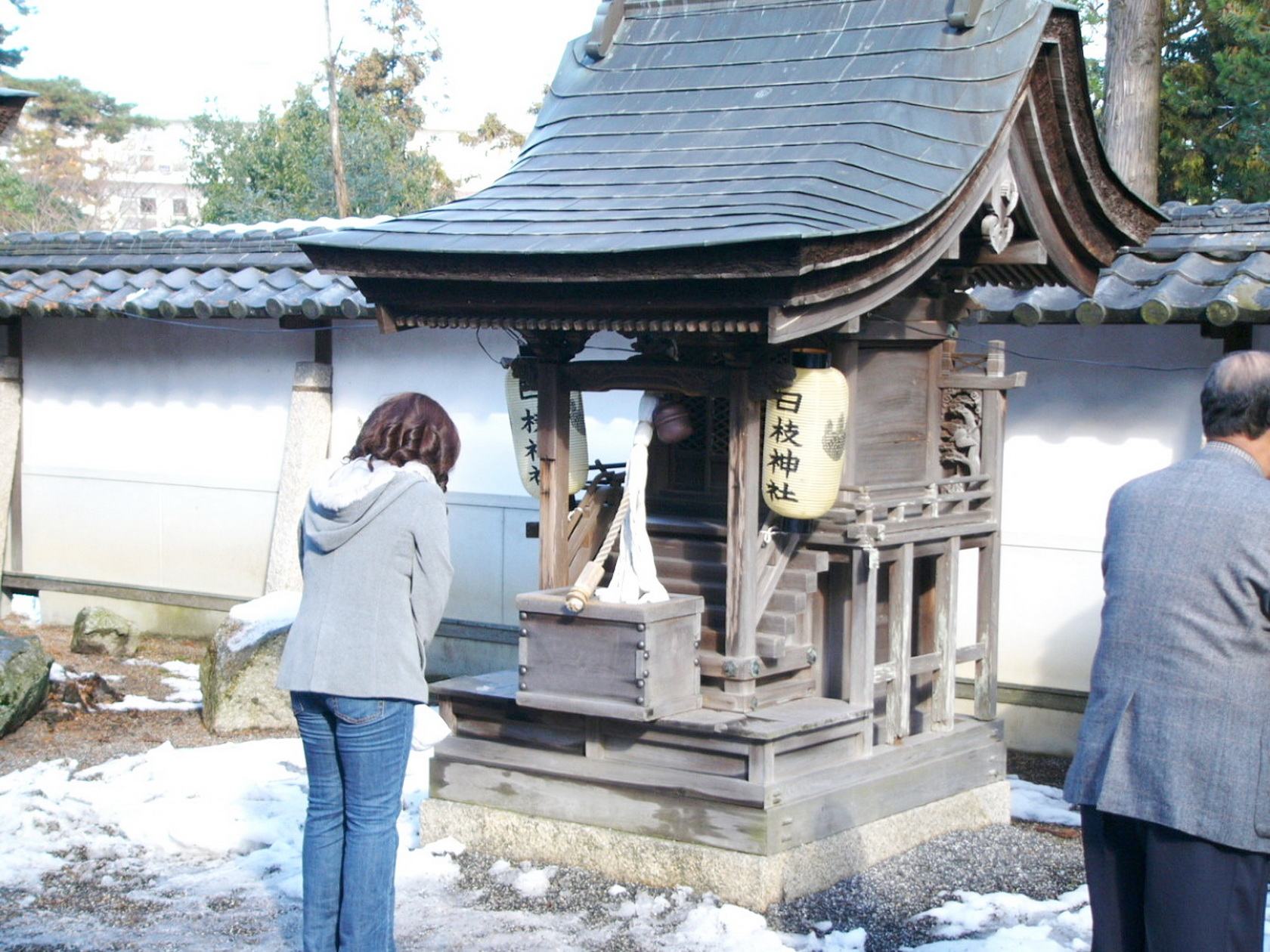img0006.jpg