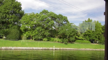 img0110.jpg