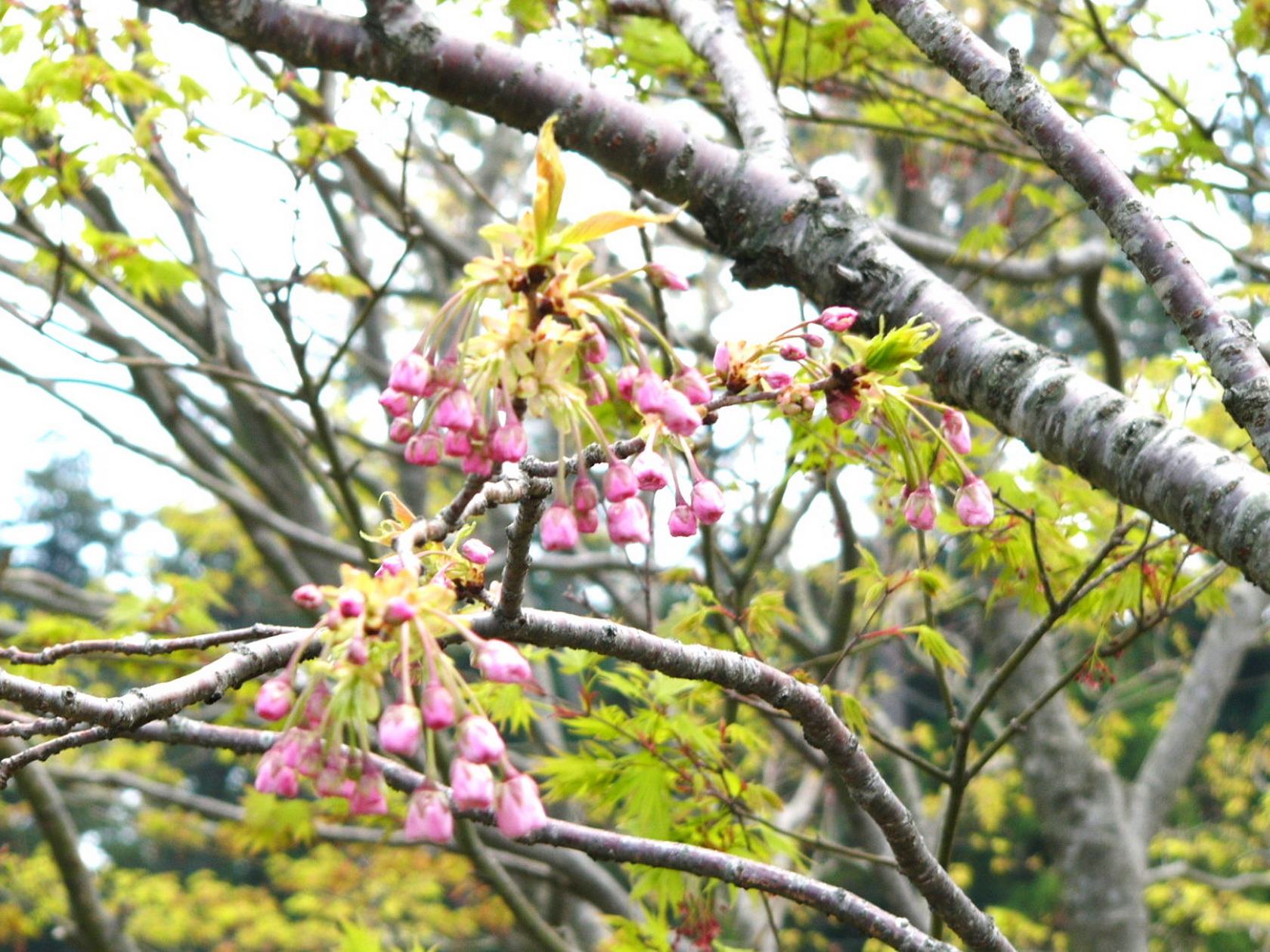 img0021.jpg