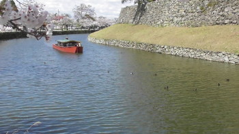 img0012.jpg
