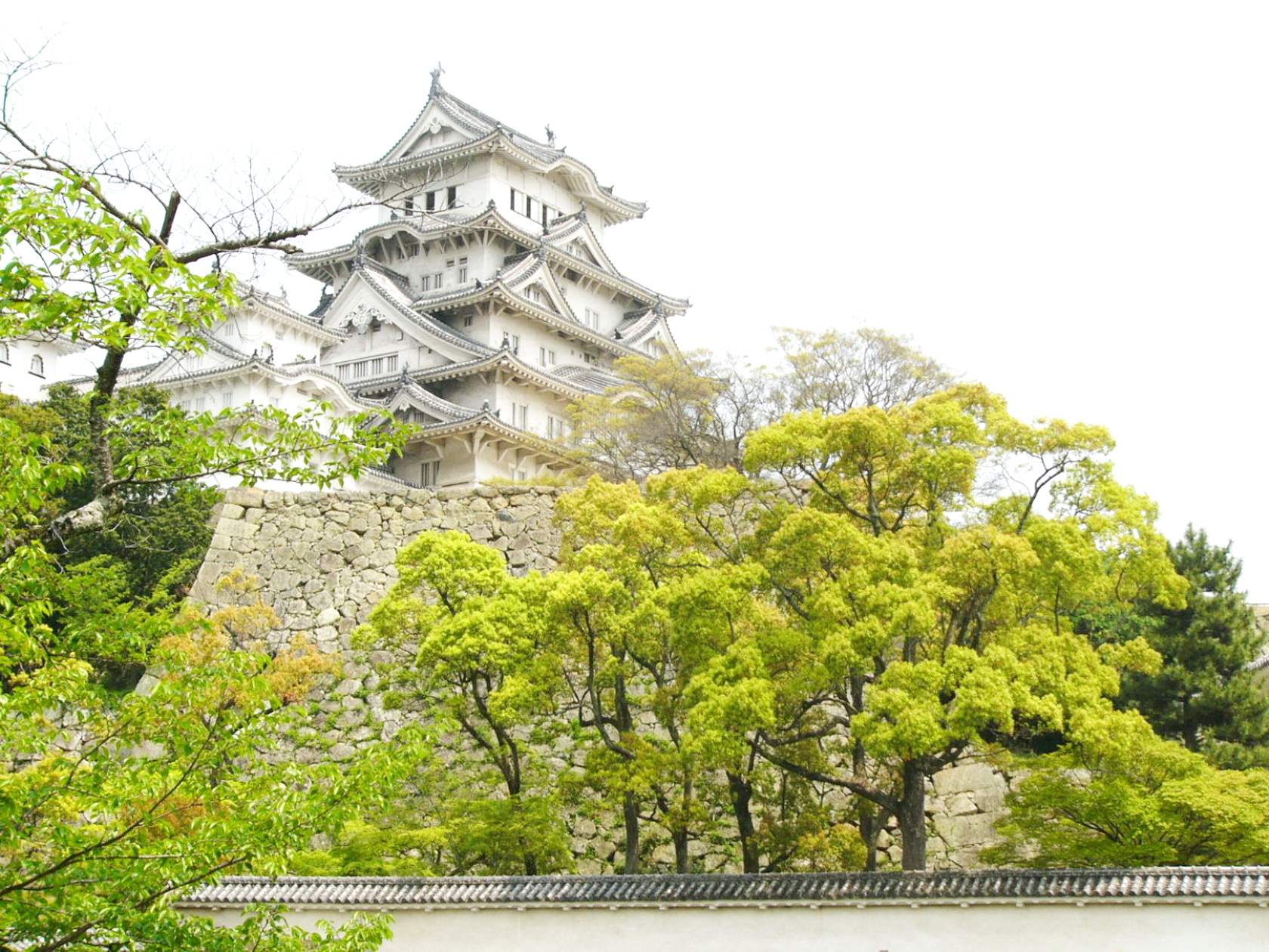 img0021.jpg