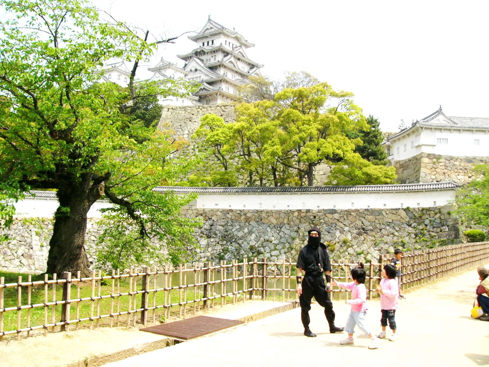 img0022.jpg