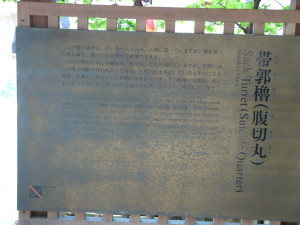 img0037.jpg