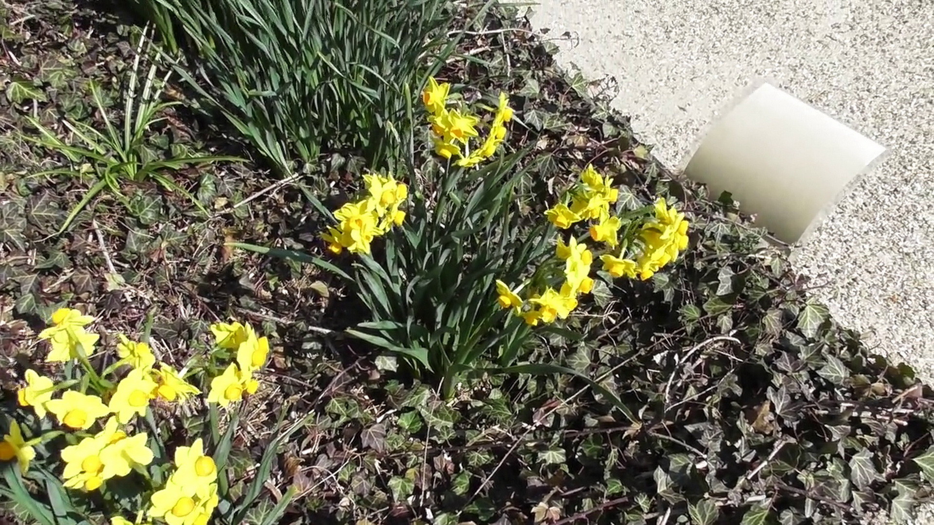 img0014.jpg