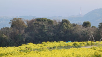 img0028.jpg