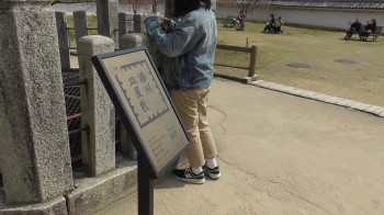 img0058.jpg