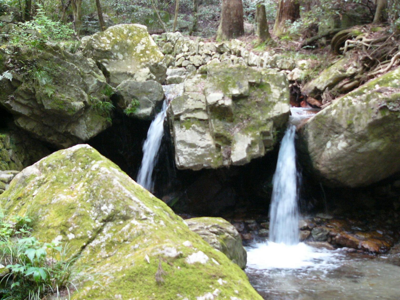 img0064.jpg