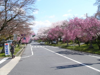 img0001.jpg