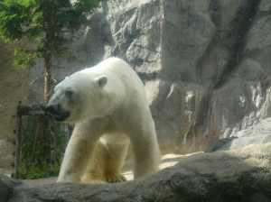 img0041.jpg