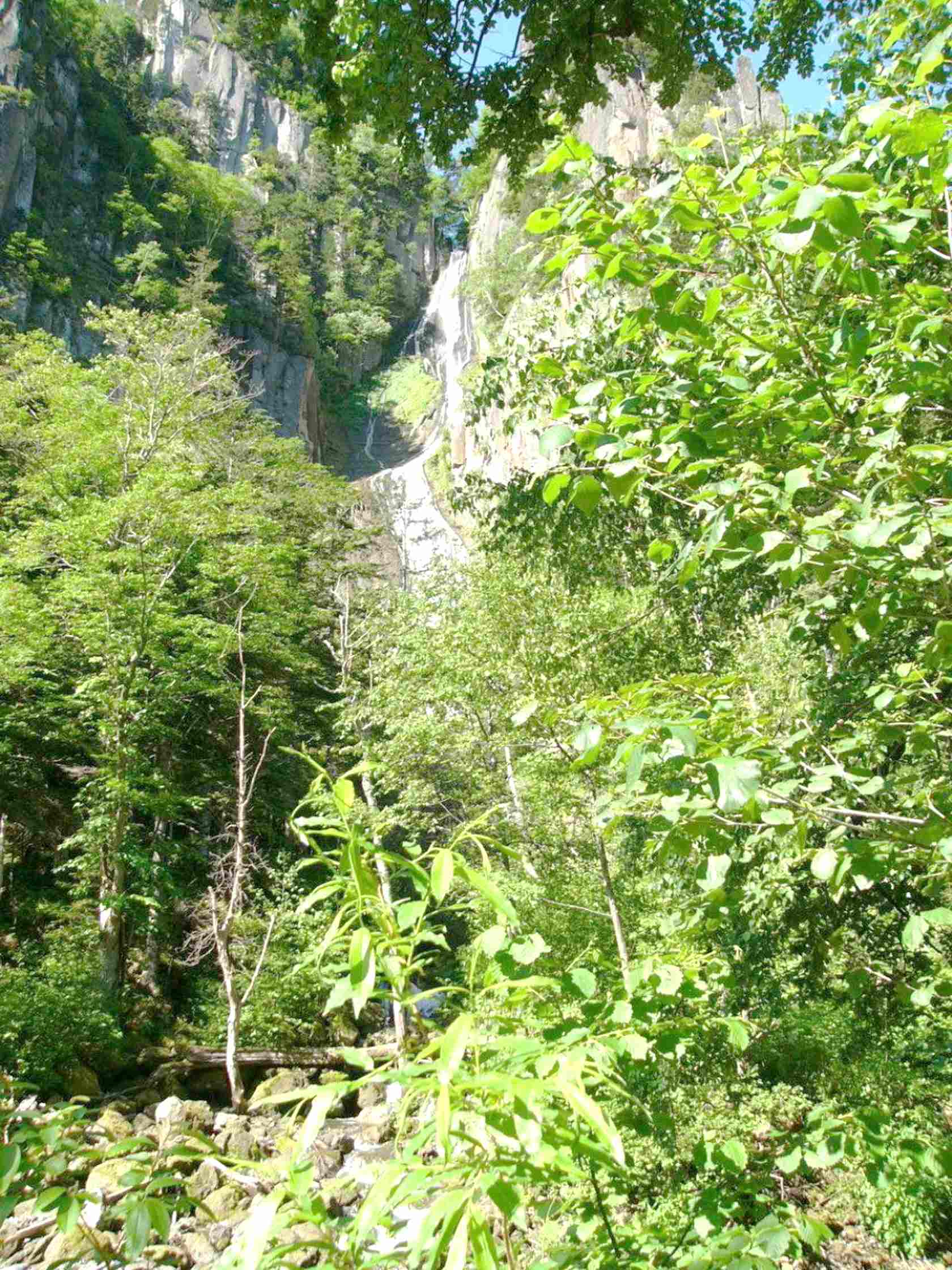 img0006.jpg