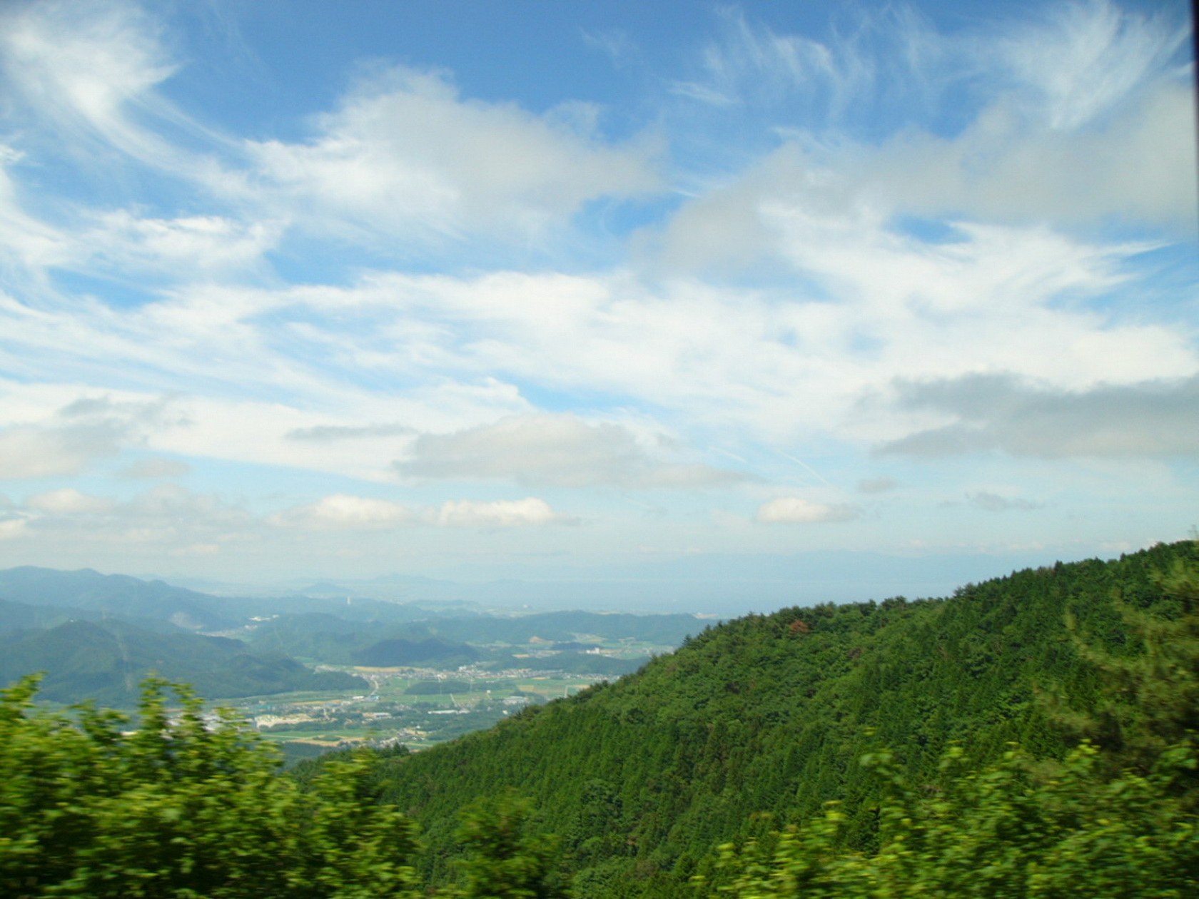 img0005.jpg