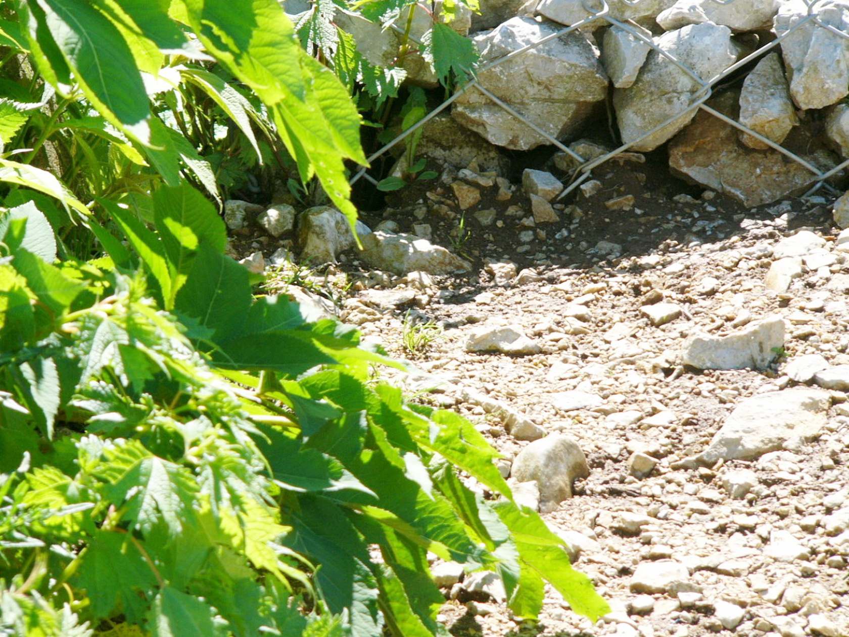 img0048.jpg
