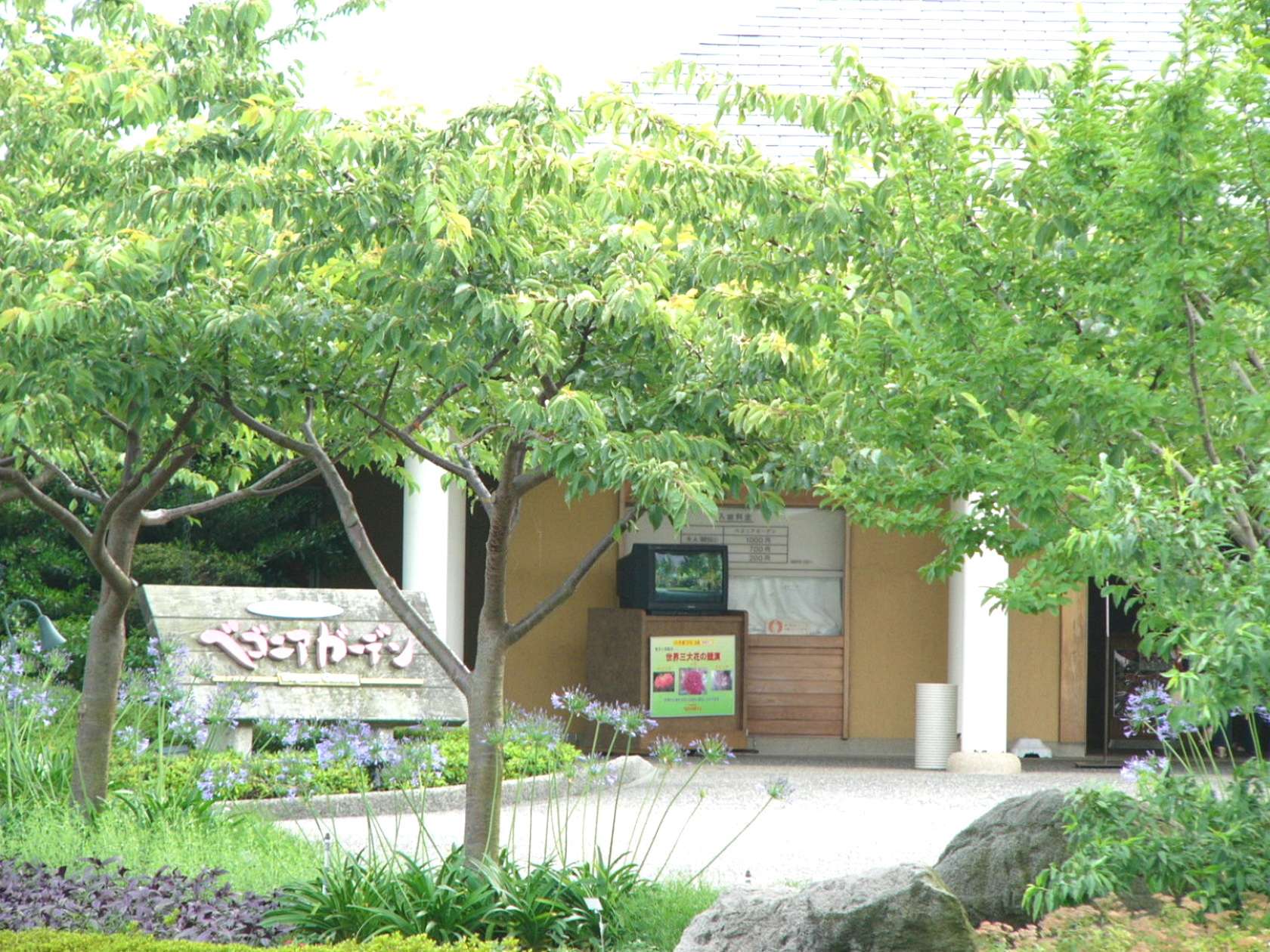 img0131.jpg