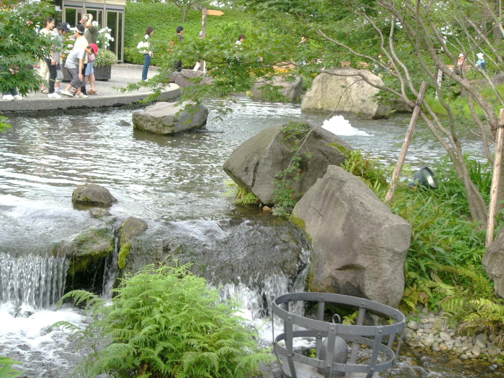 img0139.jpg