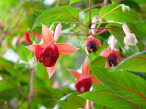 img0012.jpg