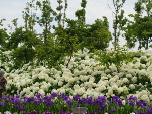 img0119.jpg