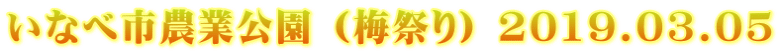 Ȃ׎s_ƌ (~Ղ) 2019.03.05