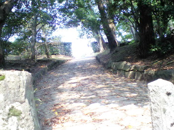 img0029.jpg