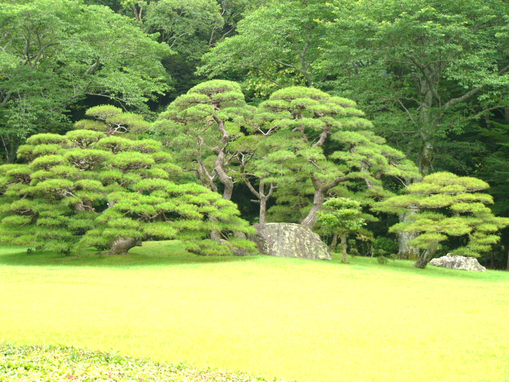 img0027.jpg