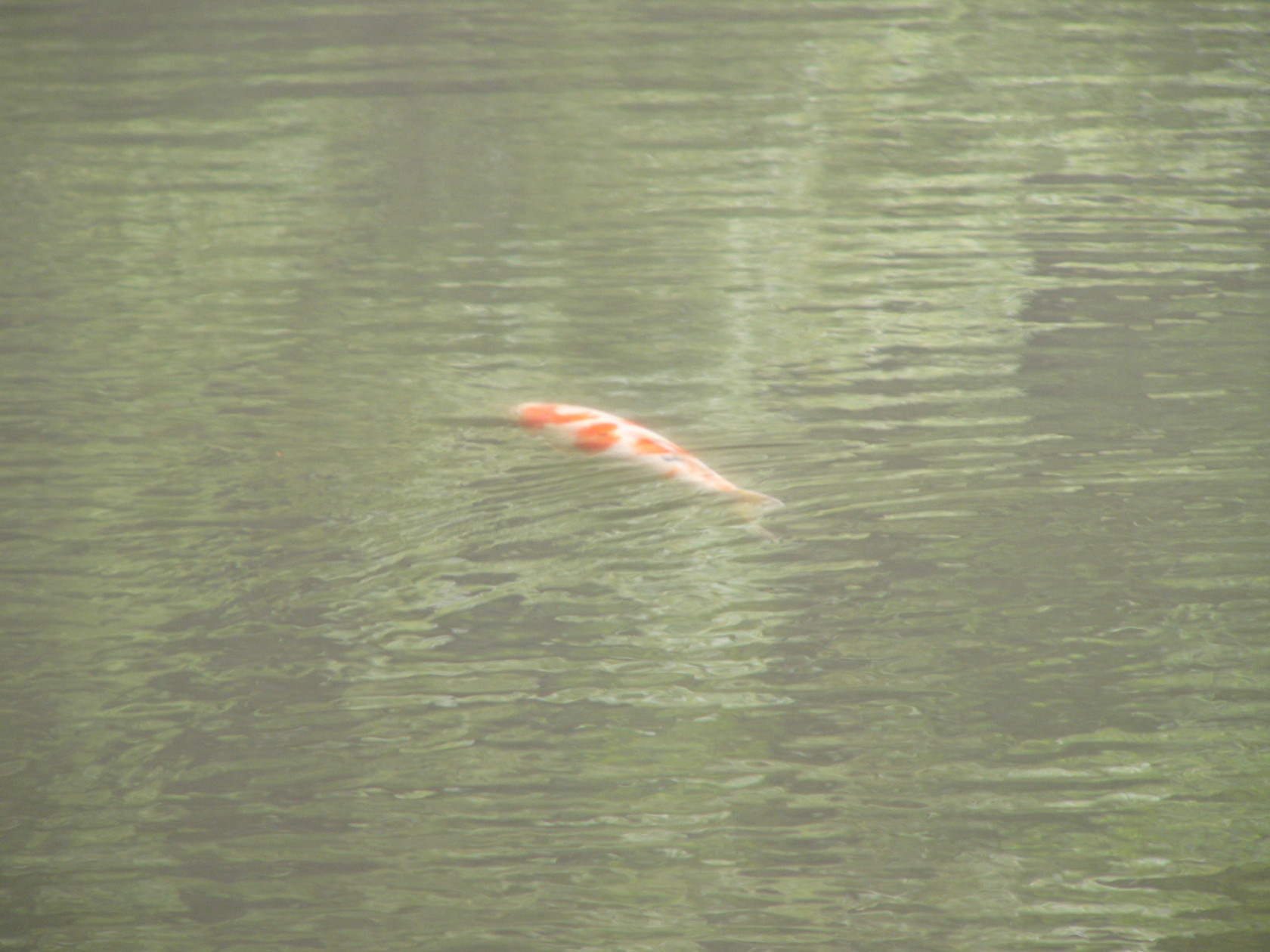 img0066.jpg