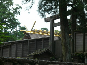 img0059.jpg